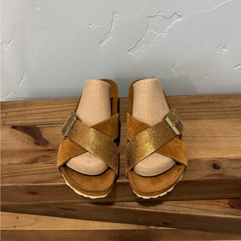Birkenstock Siena in Mink Suede